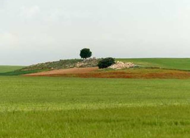 Más de 3.600 científicos proponen medidas para mejorar la Política Agraria Común