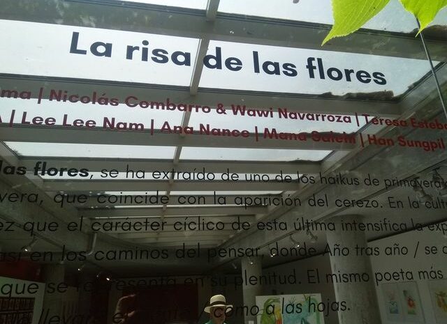 Un jardín zen dialoga con la risa de las flores en el Botánico